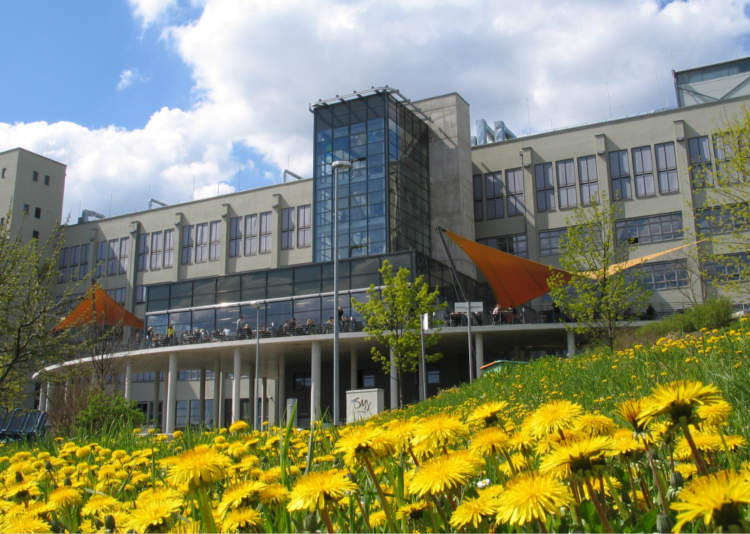Exploring Campus Facilities and Resources in Germany