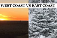 Exploring US Study Destinations: East Coast vs. West Coast